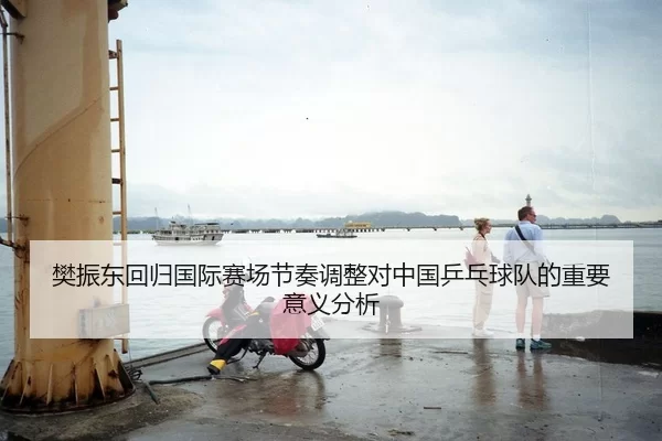 樊振东回归国际赛场节奏调整对中国乒乓球队的重要意义分析