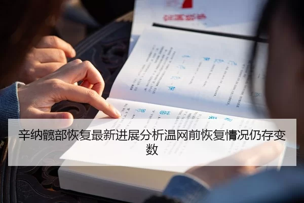 辛纳髋部恢复最新进展分析温网前恢复情况仍存变数