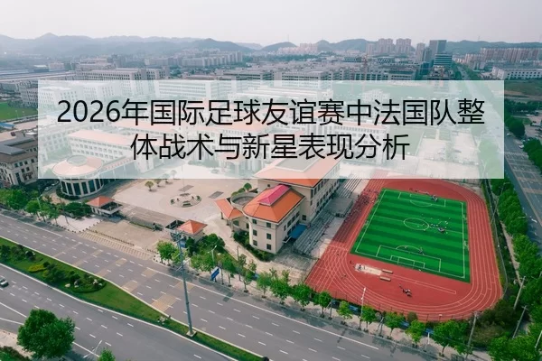 2026年国际足球友谊赛中法国队整体战术与新星表现分析