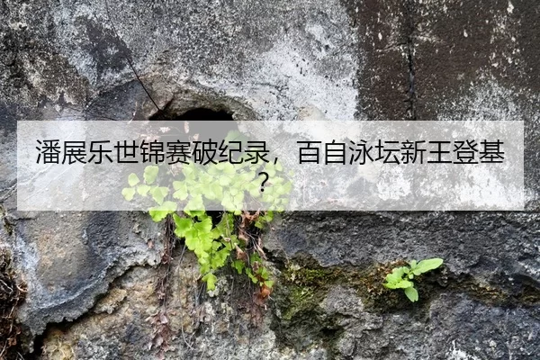 潘展乐世锦赛破纪录，百自泳坛新王登基？