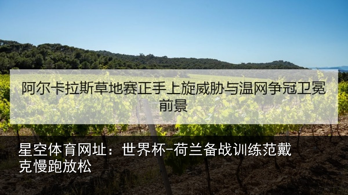 星空体育网址：世界杯-荷兰备战训练范戴克慢跑放松