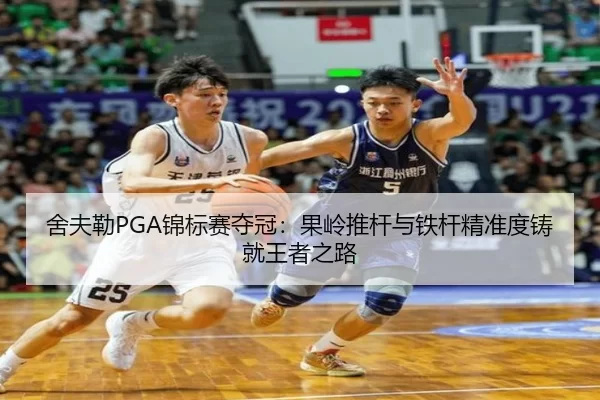 she-fu-lei-jin-biao-sai-duo-guan-guo-ling-tui-gan-yu-tie-gan-jing-zhun-du-zhu-jiu-wang-zhe-zhi-lu-3-124.jpg