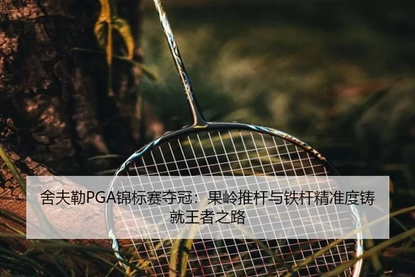 舍夫勒PGA锦标赛夺冠：果岭推杆与铁杆精准度铸就王者之路