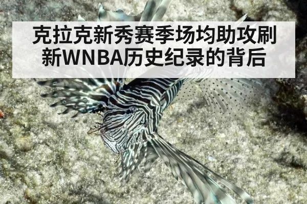 克拉克新秀赛季场均助攻刷新WNBA历史纪录的背后