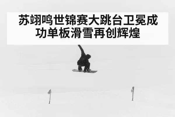 苏翊鸣世锦赛大跳台卫冕成功单板滑雪再创辉煌